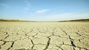 Măsuri DRASTICE! Decizia luată de Venezuela în lupta cu seceta extremă