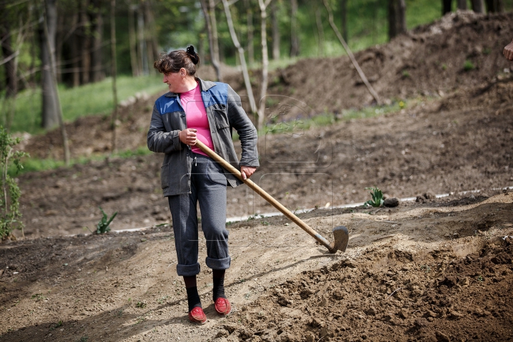 MARE FORFOTĂ în Capitală! Oraşul Chişinău va arăta altfel (FOTOREPORT)