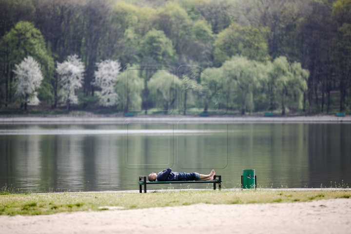 MARE FORFOTĂ în Capitală! Oraşul Chişinău va arăta altfel (FOTOREPORT)