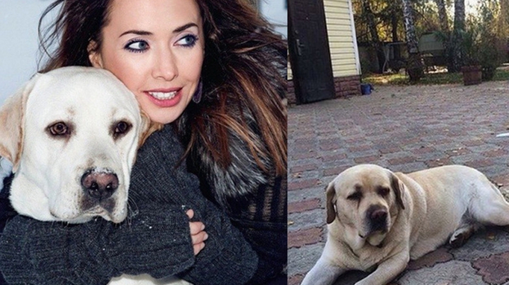 Coincidenţă ŞOCANTĂ! Câinele Janei Friske, diagnosticat cu CANCER