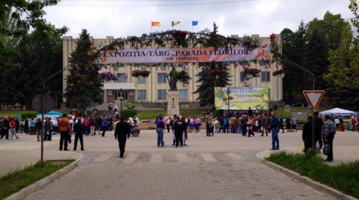 Străzile centrale ale Cimişliei s-au transformat în adevărate grădini pline cu flori