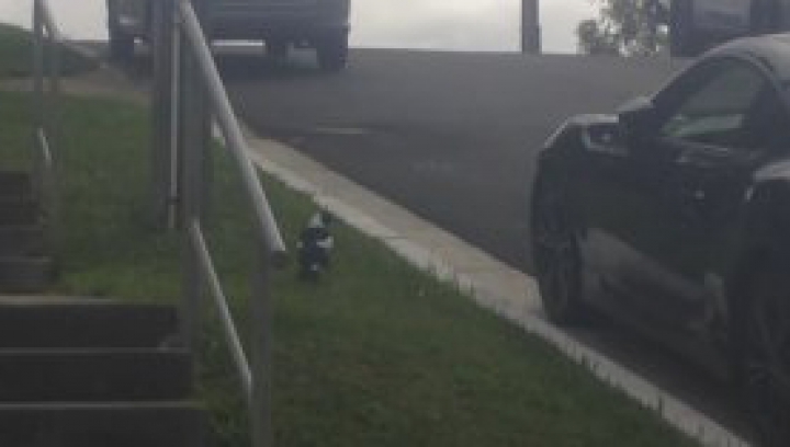 Îşi găsea mereu maşina zgâriată în parcare. Când a aflat cine era vinovatul A RĂMAS MASCĂ (FOTO)