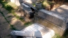 Act de vandalism fără precedent! Peste 40 de monumente din două cimitire AU FOST PROFANATE