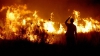Incendiile de vegetaţie fac ravagii la Ierusalim după ce locuitorii au făcut focuri de tabără în parcuri