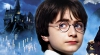NO COMMENT! Ce face un fan înrăit al lui "Harry Potter" în vasul de WC (VIDEO VIRAL)