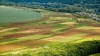 Îngheţurile au distrus culturile, dar nu şi speranţa. Localnicii din Văratic sădesc din nou legume