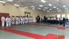 Campionatul Naţional de karate-do tradiţional. Zeci de sportivi şi-au încercat puterile