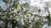 METEO 2 mai. Vreme frumoasă în toată ţara! Câte grade vor indica termometrele