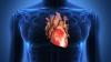Oamenii de ştiinţă au descoperit gena MUTANT care protejează inima