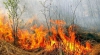 Incendiile de vegetație se extind în estul Rusiei. Peste 10.000 de hectare au fost pârjolite (VIDEO)