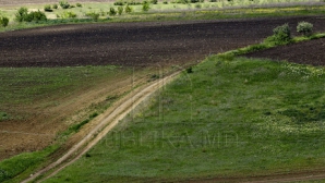 Asigurarea agricolă ar putea fi OBLIGATORIE. Părerea unui fermier care a suportat pierderi de mii de lei