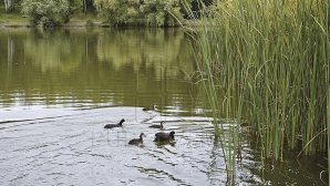 METEO 23 mai 2016. Vreme însorită, dar umbrelele nu trebuie lăsate acasă