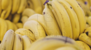 BINE DE ŞTIUT! Cât de periculoase pot fi bananele pentru sănătate