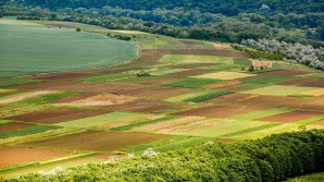 Îngheţurile au distrus culturile, dar nu şi speranţa. Localnicii din Văratic sădesc din nou legume