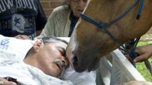 ULTIMA DORINŢĂ: Era pe moarte și a cerut să-i aducă un cal lângă el. CE A URMAT