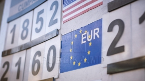 CURS VALUTAR 9 mai 2016. Leul îşi menţine poziţia în raport cu moneda unică europeană