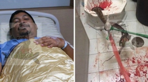 SCENE CA ÎN FILMELE DE GROAZĂ la closet. Un piton l-a mușcat de penis pe un bărbat