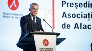 Vlad Plahotniuc: Îmi iau angajamentul personal de a susține menținerea stabilității politice în țară