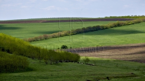 Asigurarea împotriva calamităților naturale ar putea fi OBLIGATORIE! Propunerea Ministerului Agriculturii