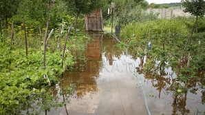 Ploile dau bătăi de cap unei familii din Corjova. Gospodăria le este inundată de fiecare dată când plouă