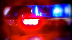 ALAI DE NUNTĂ CU GIROFAR! Petrecăreţii sunt căutați de polițişti (VIDEO) 