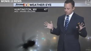 Sperietură ZDRAVĂNĂ! Ce a păţit un prezentator în timpul unei transmisiuni live (VIDEO)