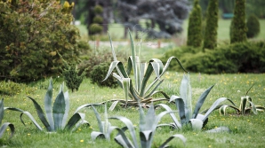 Temperaturi generoase, dar şi ploi în următoarele zile. Câte grade vor indica termometrele