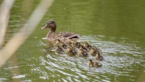 Surprizele vremii pentru următoarele zile, inclusiv de Paştele Blajinilor