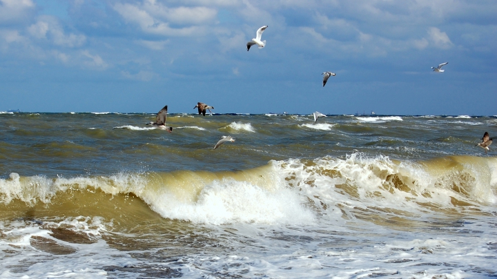 Cea mai periculoasă plajă de la Marea Neagră. Nu trebuie să intri niciodată în apă în acea zonă