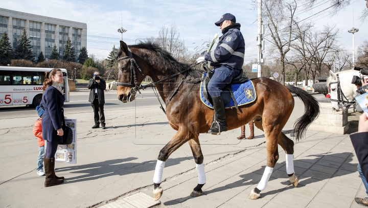 Urmează exemplul colegilor din Londra. Poliţiştii patrulează călare prin Capitală