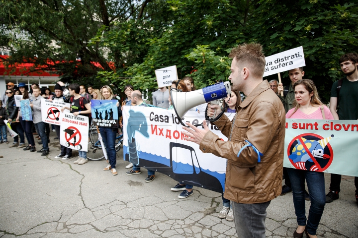 SPECTACOL și PROTESTE. Cum și-a deschis ușile primul delfinariu din Chişinău (FOTOREPORT)