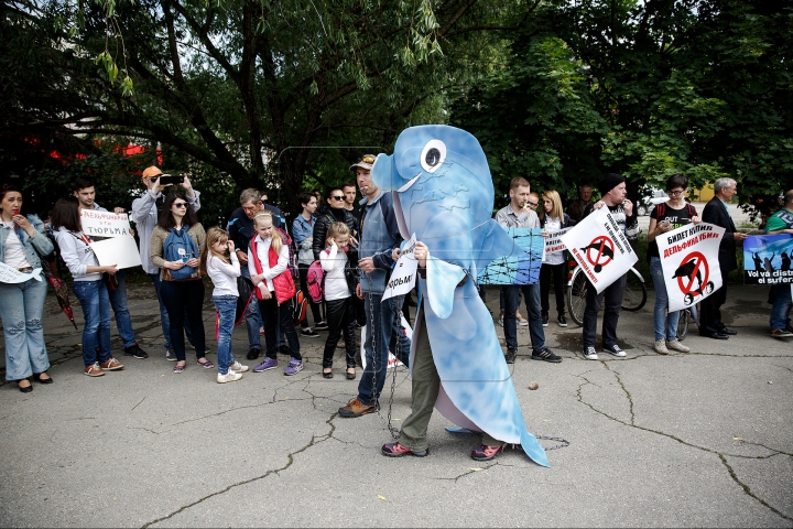 SPECTACOL și PROTESTE. Cum și-a deschis ușile primul delfinariu din Chişinău (FOTOREPORT)