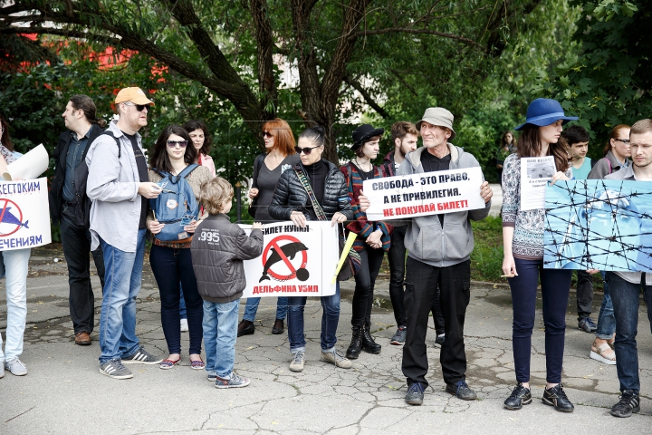 SPECTACOL și PROTESTE. Cum și-a deschis ușile primul delfinariu din Chişinău (FOTOREPORT)