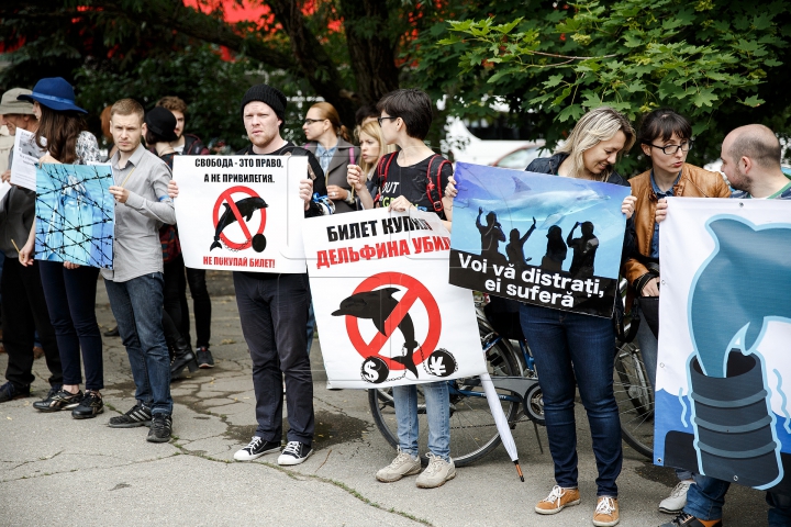 SPECTACOL și PROTESTE. Cum și-a deschis ușile primul delfinariu din Chişinău (FOTOREPORT)