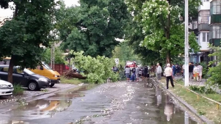 SURPRIZĂ NEPLĂCUTĂ! Un bărbat şi-a găsit maşina zdrobită de un copac (FOTO)