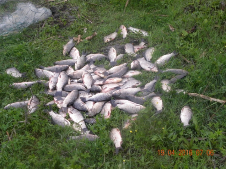 Peste o sută de pescari au ajuns în atenţia autorităţilor pentru braconaj