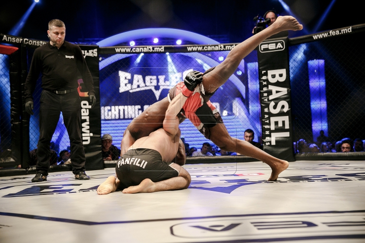 Eagles Fighting Championship: Schimb de priviri şi replici