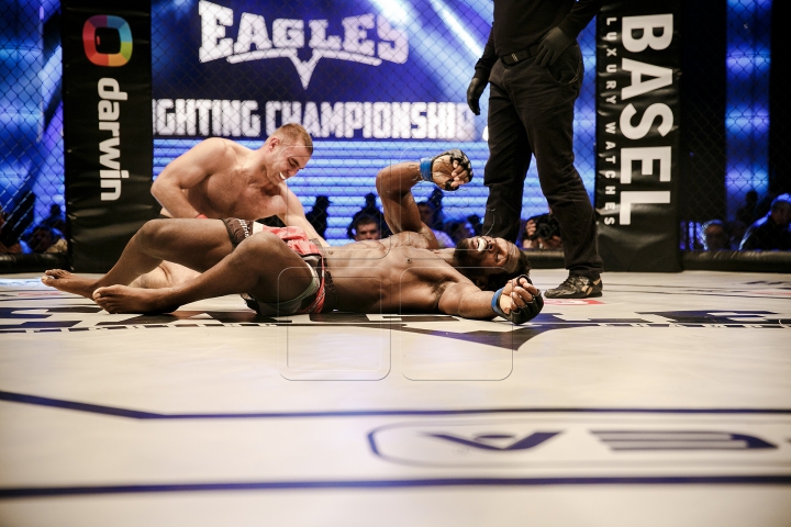 Eagles Fighting Championship: Schimb de priviri şi replici