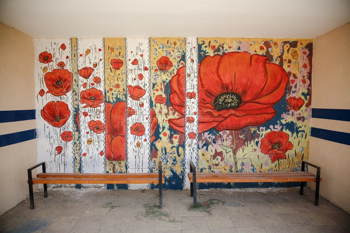 La Costeşti, staţiile de aşteptare s-au transformat în ADEVĂRATE OPERE DE ARTĂ (FOTOREPORT)