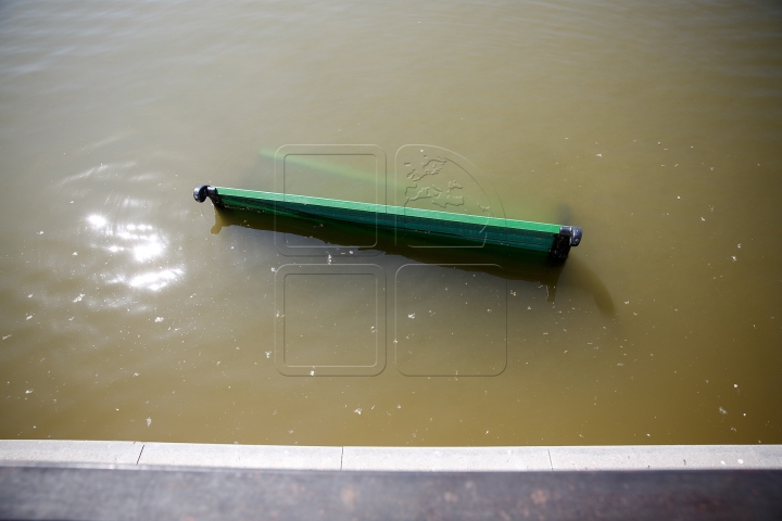 O bancă din parcul Valea Morilor, aruncată în lac! Cum au reacţionat poliţiştii şi trecătorii (FOTO)