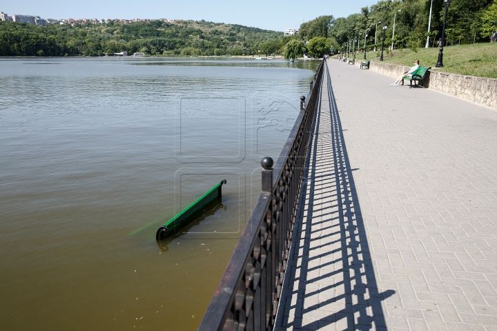 NESIMȚIRE CURATĂ! Ce au facut niște oameni cu băncile din parcul de la Valea Morilor (FOTO)