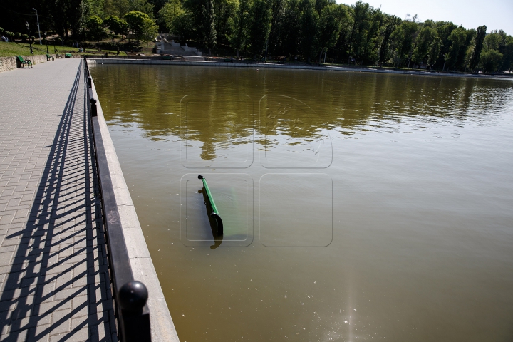 O bancă din parcul Valea Morilor, aruncată în lac! Cum au reacţionat poliţiştii şi trecătorii (FOTO)