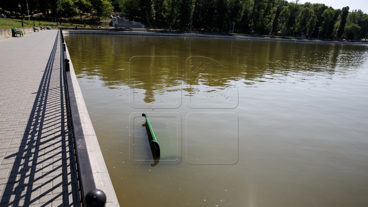 NESIMȚIRE CURATĂ! Ce au facut niște oameni cu băncile din parcul de la Valea Morilor (FOTO)