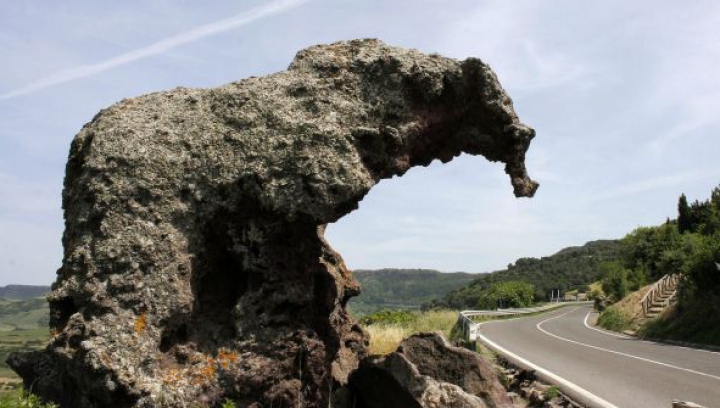 MINUNĂŢIILE NATURII! Stânca ciudată care îi UIMEŞTE pe toţi cei care trec pe lângă ea (FOTO)