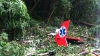 Catastrofa aviatică de la Cantemir: Rudele victimelor vor fi audiate de un procuror militar