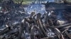 Comerţ ilegal cu colţi de elefanţi. Autorităţile din Singapore au confiscat circa 7.9 tone de fildeş de contrabandă 