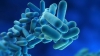 REZULTATE ALARMANTE: Antibioticele au efecte adverse devastatoare