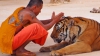 Descoperire șocantă în templu tigrilor din Thailanda. Ce era ascuns în congelatorul budiștilor