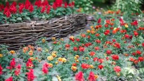 Vreme caldă şi cer variabil. Care vor fi maximele termice în următoarele zile