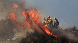Incendii devastatoare în California! Statul american, în stare de URGENŢĂ
